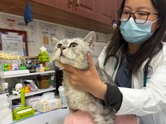 -美联众合动物医院·24h转诊中心