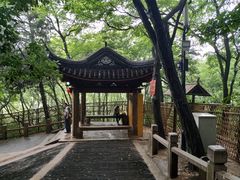 -灵岩山风景区