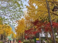 -北外滩滨江绿地