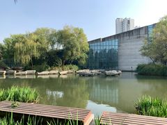 -圩墩遗址公园