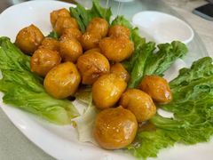 -椿记烧鹅(叠彩店)