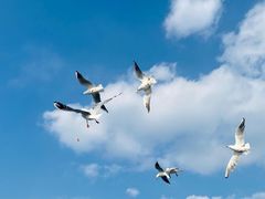 -苏州吴中太湖旅游区