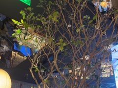 -桂满陇·海市蜃楼·黑金(国金店)