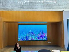 -现代汽车文化中心 Hyundai Motorstudio Beijing