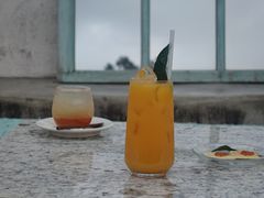 -柑橘农场