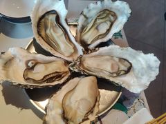 -蚝堡海鲜·威海菜·海肠捞饭·烧烤·亚洲吃蚝公司(幸福门店)