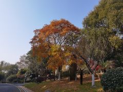 -太湖饭店·寄畅轩中餐厅
