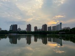 -莲花池公园