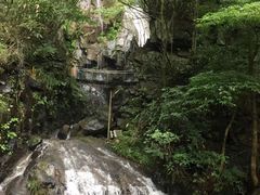 -藏龙百瀑风景区