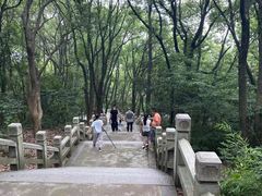 -灵岩山风景区