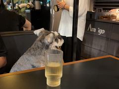 -Ameigo梅果·云贵川bistro(长宁来福士店)