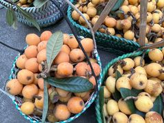 -塘栖枇杷特色园区