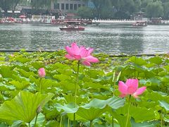 -小王府(什刹海店)