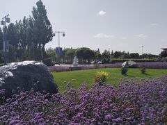 -敦煌莫高国际机场