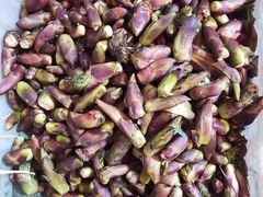 -迪庆藏族自治州博物馆