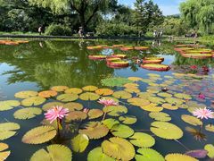 -国家植物园南园