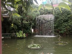 -碧江金楼