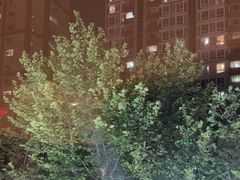 -沈灶河豚宴·河豚融合餐厅(汉中路店)