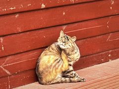 -终南山南五台景区