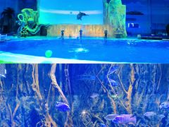 -华夏文旅海洋公园