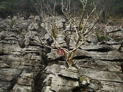 -重庆云阳龙缸景区