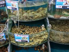 -叶存利海鲜大馅饺子(海宁路总店)
