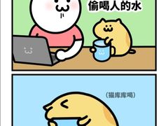-lincat·猫舍(广州店)
