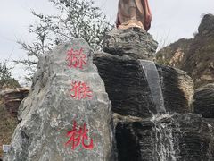 -大岭沟猕猴桃谷风景区