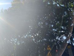 -十九路军淞沪抗日阵亡将士陵园