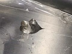 -侘寂甜品(自取店)
