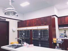 -宠爱国际动物医院· 猫科· 外科·中兽医(长白店)