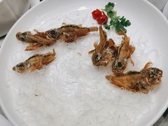 -宝燕壹号(徐汇店)