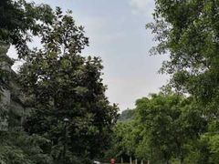 -重庆长寿碧桂园凤悦凤凰酒店