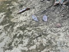 -关西瀑布