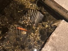 -邈墨茶馆(凤起路店)