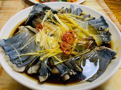 -煲来饱去冷水鱼