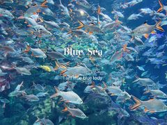 -成都浩海立方海洋公园