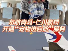 -青岛胶东国际机场