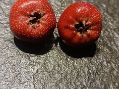 -铭家家宴·海鲜青岛菜·院子餐厅(燕岭路店)