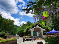 -广州白江湖森林公园