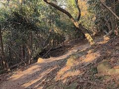 -宝界山林公园