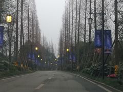 -青城道汤池