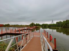 -芒洲湿地公园