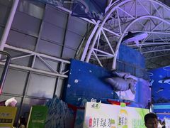 -烟台海昌鲸鲨海洋公园