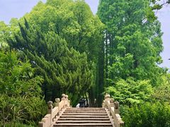 -上海醉白池公园