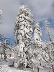 -大秃顶子山
