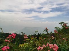 -重庆雨台山风景区