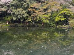 -富士山本宫浅间大社