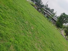 -白鹭湾湿地公园