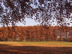 iphone_upload_pic-河南省黄河迎宾馆